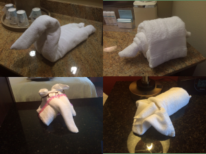 Towel art created by the staff for our enjoyment