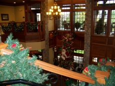 Balcony overlooking the back lobby