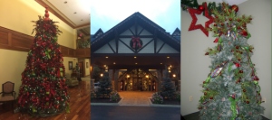 A view of the Inn at Christmas Place complete with trees